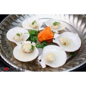 扇贝·Fan Scallop